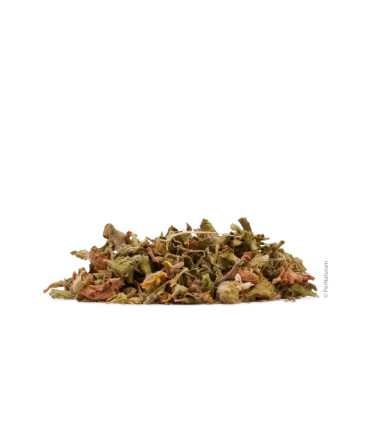 Kretische Zistrose (200 g)