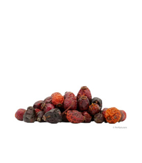 Escaramujos enteros