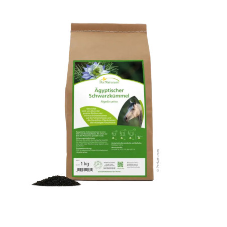 Graines de Nigelle d'Egypte (cumin noir)