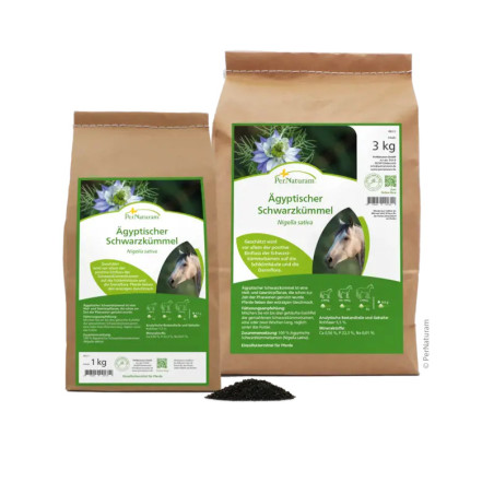 Graines de Nigelle d'Egypte (cumin noir)