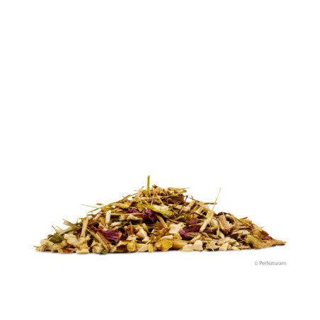 Échinacée pourpre (1 kg)