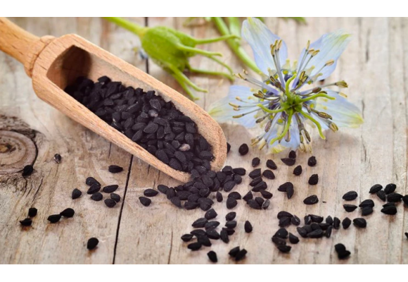 Nigelle, la Graine aux Mille Vertus : L’Alliée de Votre Bien-Être